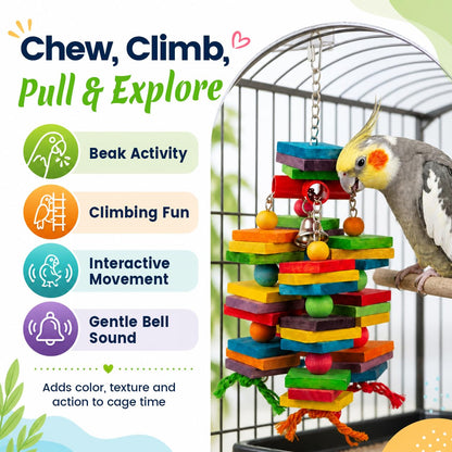 Bird Toys for Parrots, Natural Wood Bird Chewing Toy with Heavy-Duty Stainless Steel Chain for Small to Medium Parrot, Cockatiel, African Grey, Amazon Parrot, Conure Bird Cage Accessories - 1.2 lbs