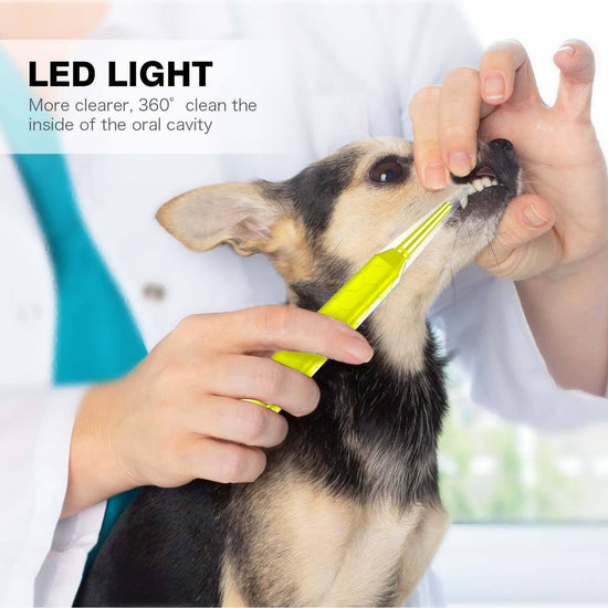 Dental Care Device, 3 Adjustable Modes, Waterproof, USB Rechargeable