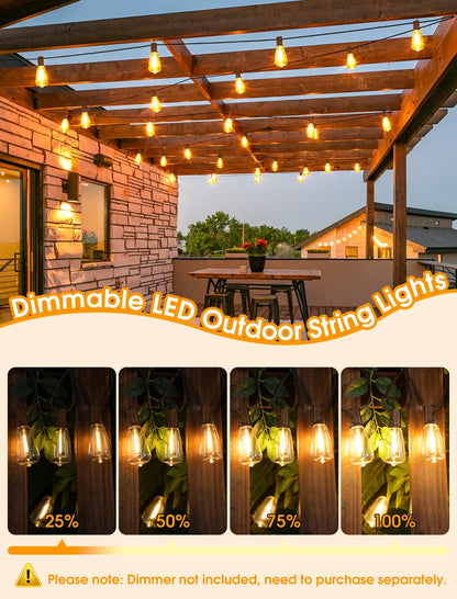 Larkvue string lights — waterproof and dimmable with retro Edison bulbs 2700K