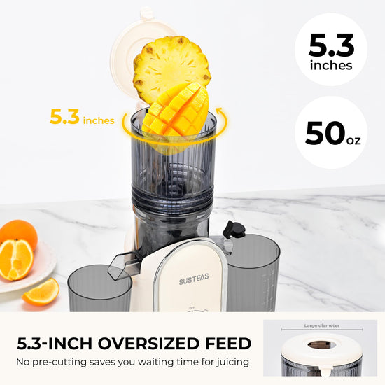 SUSTEAS juicer - compact design for easy storage and portability.