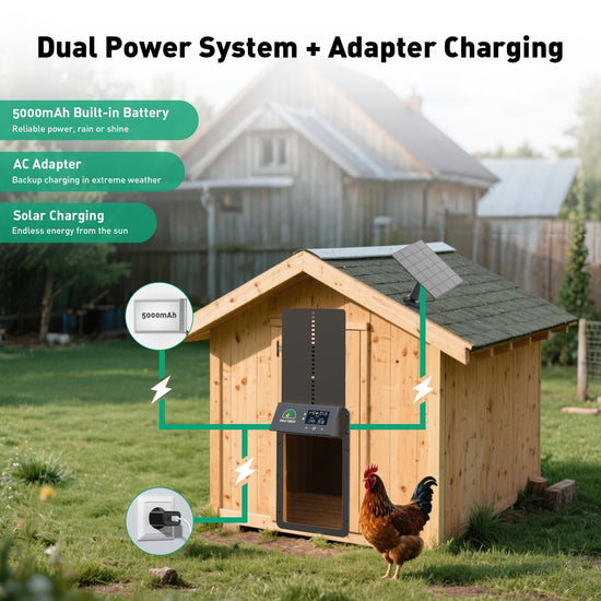 Automatic Chicken Coop Door with LCD Display, Solar Chicken Coop Door with Multiple Modes & USB-C Charging, Automatic Chicken Door with Light Sensor & Timer