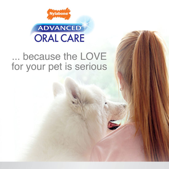 Nylabone tooth cleaning agent — advanced oral care water additive for dogs peppermint