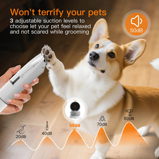 AIRROBO dog grooming vacuum with 7 grooming tools and 12000Pa suction power.