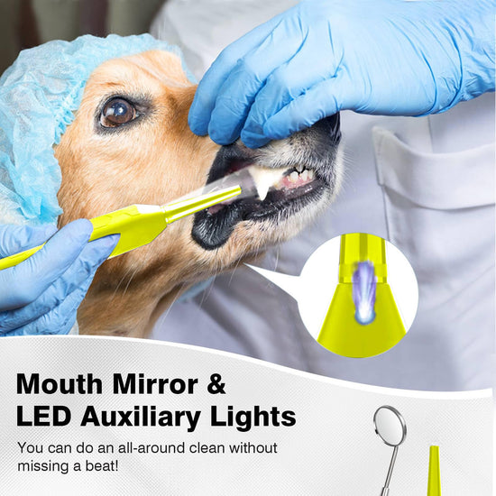 Dental Care Device, 3 Adjustable Modes, Waterproof, USB Rechargeable