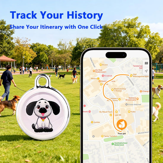 Location tracker — No subscription required, compatible with iOS and Android