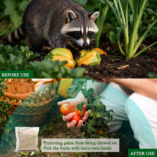 Natural raccoon repellent granules — eco-friendly and non-toxic formula with oils