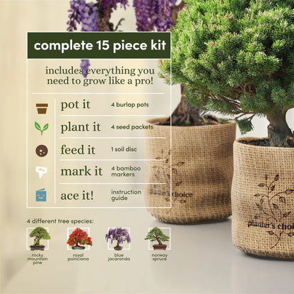 Plant seed — Planter's Choice bonsai tree kit for beginners and plant lovers