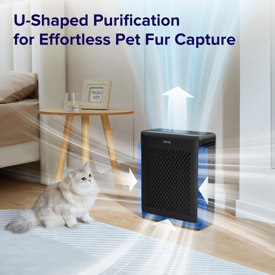 LEVOIT air purifier — designed for large rooms