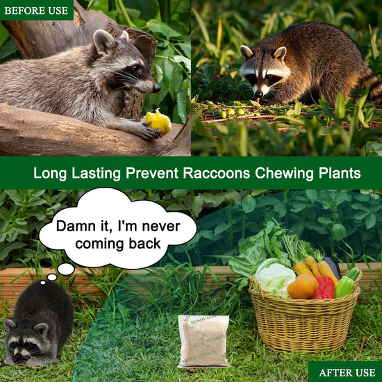 Natural raccoon repellent granules — eco-friendly and non-toxic formula with oils
