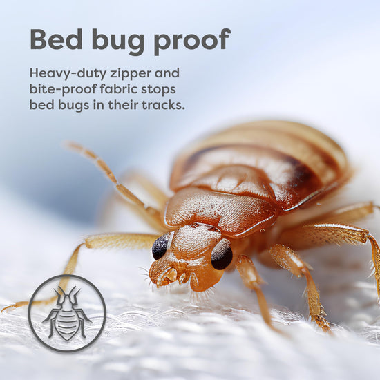 HOSPITOLOGY PRODUCTS mattress cover — Zippered bed bug and dust mite proof