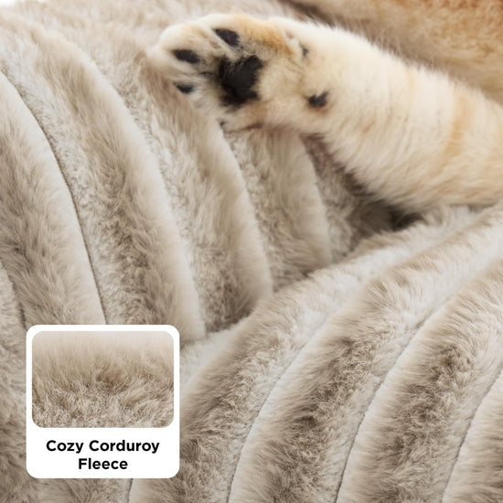 Bedsure pet bed mat — Fluffy cat sofa with removable washable cover