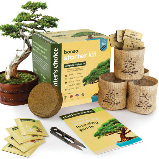 Plant seed — Planter's Choice bonsai tree kit for beginners and plant lovers