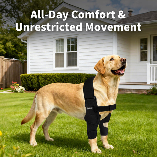 FurWell Dog Elbow Brace Protector with Decoupled Chest Strap - Breathable, Abrasion-Resistant - Adjustable Elbow Support for Hygroma, Dysplasia, Arthritis, Calluses & Shoulder Instabilit(Left Leg, L)