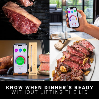 Smart thermometer — advanced meat monitoring technology