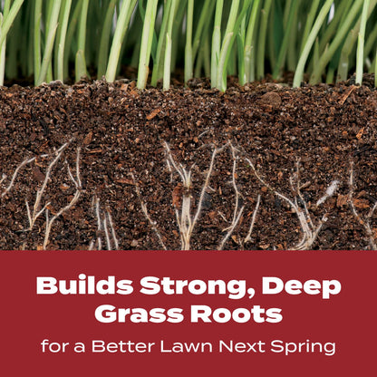Scotts fertilizer for grass root development.