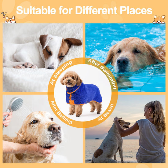 Bienbee dog bathrobe — quick drying super absorbent for small to large dogs