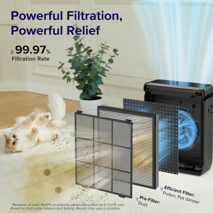 LEVOIT air purifier — designed for large rooms
