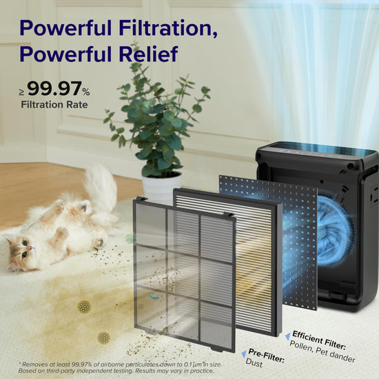 LEVOIT air purifier — designed for large rooms