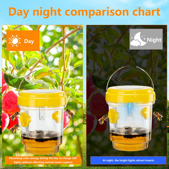 Wasp traps - 3 pack for outdoor useWasp traps - 3 pack for outdoor use.