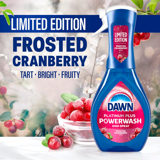 Dawn Powerwash spray - Frosted cranberry cleaning agent starter kit, 16 fl oz