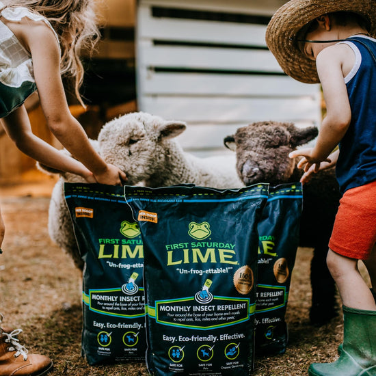 First Saturday Lime insect repellent — monthly insect shield for outdoor use