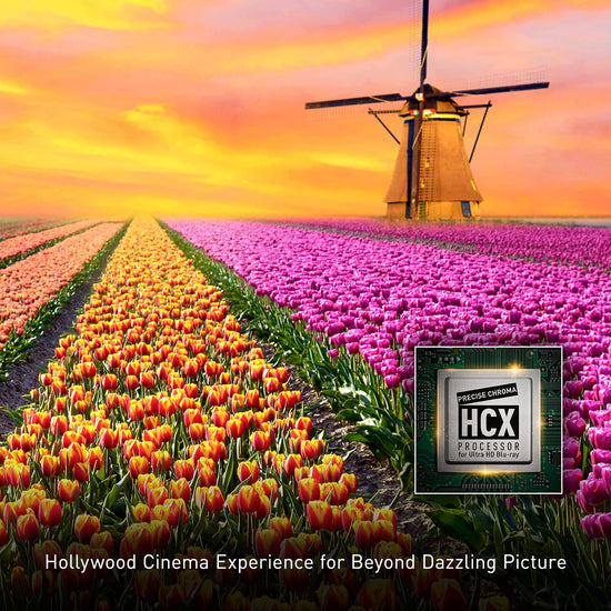 Panasonic video disc player — 4K Blu Ray with Dolby Vision and HDR10+ playback