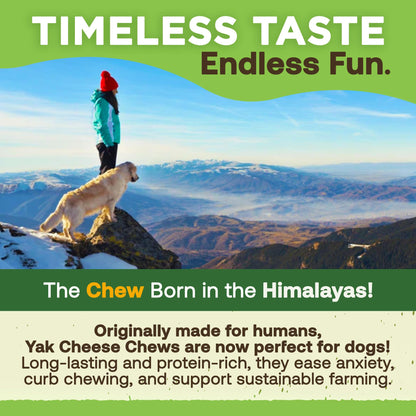 EcoKind Premium Yak cheese chew for large breed dogs, all natural and high protein.