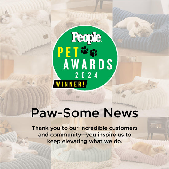 Bedsure pet bed mat — Fluffy cat sofa with removable washable cover