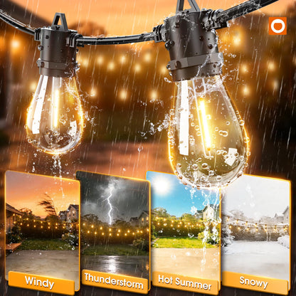 addlon string lights with LED bulbs