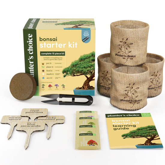 Plant seed — Planter's Choice bonsai tree kit for beginners and plant lovers