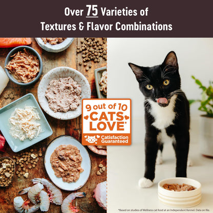Pet food — Wellness CORE tiny tasters pate chicken