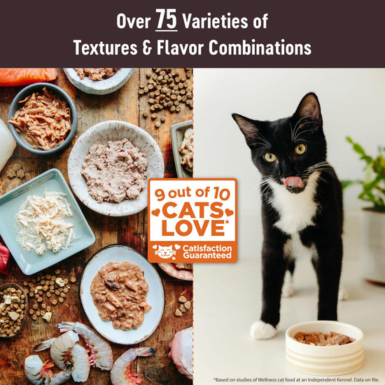 Pet food — Wellness CORE tiny tasters pate chicken