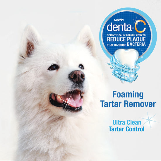 Nylabone tooth cleaning agent — advanced oral care water additive for dogs peppermint