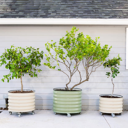Rolling Metal Planter Pot with Wheels — 30 Gallon, 24" Round | Olive Green