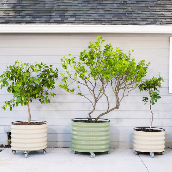 Rolling Metal Planter Pot with Wheels — 30 Gallon, 24" Round | Olive Green