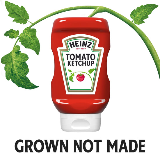Heinz ketchup — classic tomato flavor in a 14 oz bottle