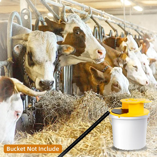 3pc Bucket Mouse Trap - Mouse Traps Indoor for Home - ABS Material