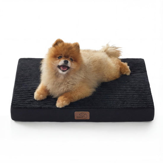 Bedsure pet bed mat — orthopedic design for crates and washable cover