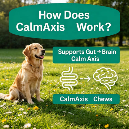 Calmaxis Chews, Calming Chews for Dogs, Soothe Your Pet's Emotions, Reduce Stress and Anxiety for Puppies Small All Dogs, 60 Count (1pc)