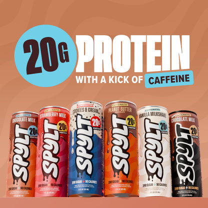Spylt protein drink — high protein milk with caffeine, sugar free, lactose free 12 count