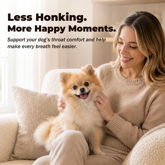 Manuka Honey for Dogs - Supports Collapsed Trachea, Cough Relief, Wheezing & Phlegm Comfort - New Zealand Manuka Honey + Natural Herbal with Slippery Elm and Quercetin — Immune Support — 5 oz