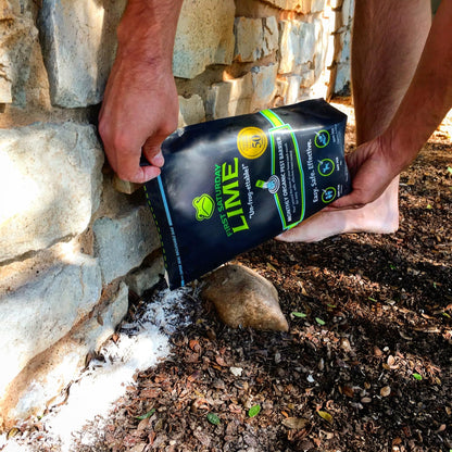 First Saturday Lime insect repellent — monthly insect shield for outdoor use