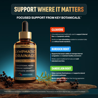 Wellanova Lymphatic Drainage Drops - Organic Supplement for Lymphatic Support & Detox - 10-in-1 Herbal Blend Cleanse Complex with Burdock, Dandelion, Elderberry - 2 fl oz