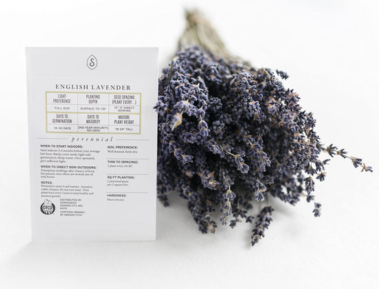 Plant seed — Sereniseed certified organic herb seed collection
