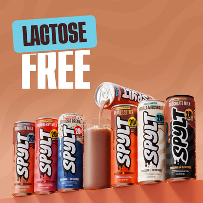 Spylt protein drink — high protein milk with caffeine, sugar free, lactose free 12 count