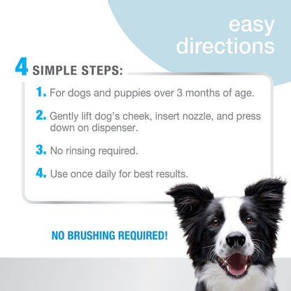 Nylabone tooth cleaning agent — advanced oral care water additive for dogs peppermint