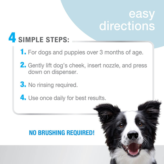 Nylabone tooth cleaning agent — advanced oral care water additive for dogs peppermint
