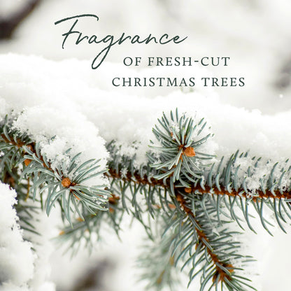 Thymes Frasier Fir cleaner — biodegradable with natural essential oils
