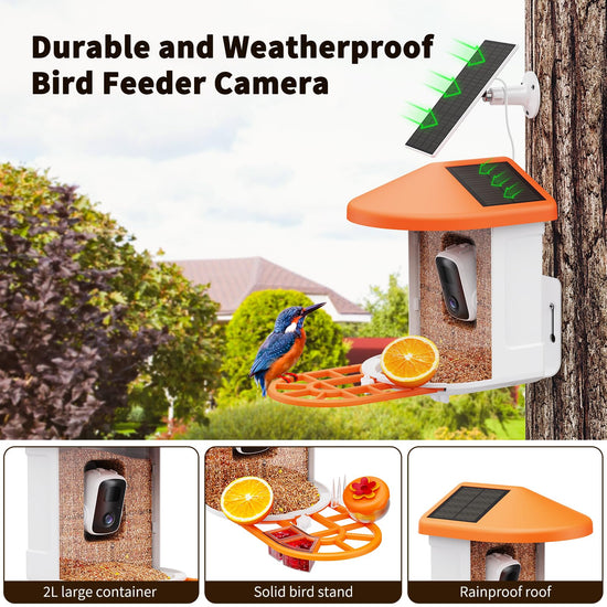 HARYMOR wildlife feeder — Bird feeder with camera and AI species identification