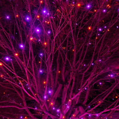 Dazzle string lights — connectable waterproof lights with 8 modes for indoor and outdoor use